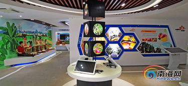 昌江互聯網農業小鎮 借電商快車，力促農產品銷售